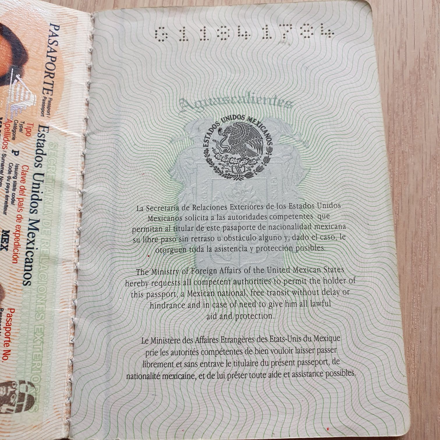 Pasaporte 2013-2023 - Jorge Mandujano Ortiz (Pasaporte 2013-2023) ornament collectible - Main Image 2