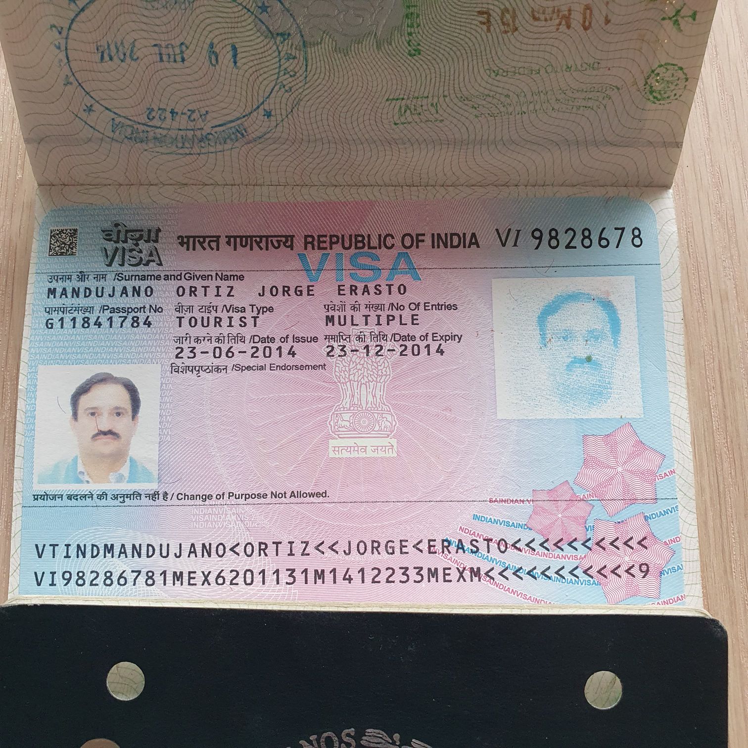 Merry Max - The Secret Life Of Pets