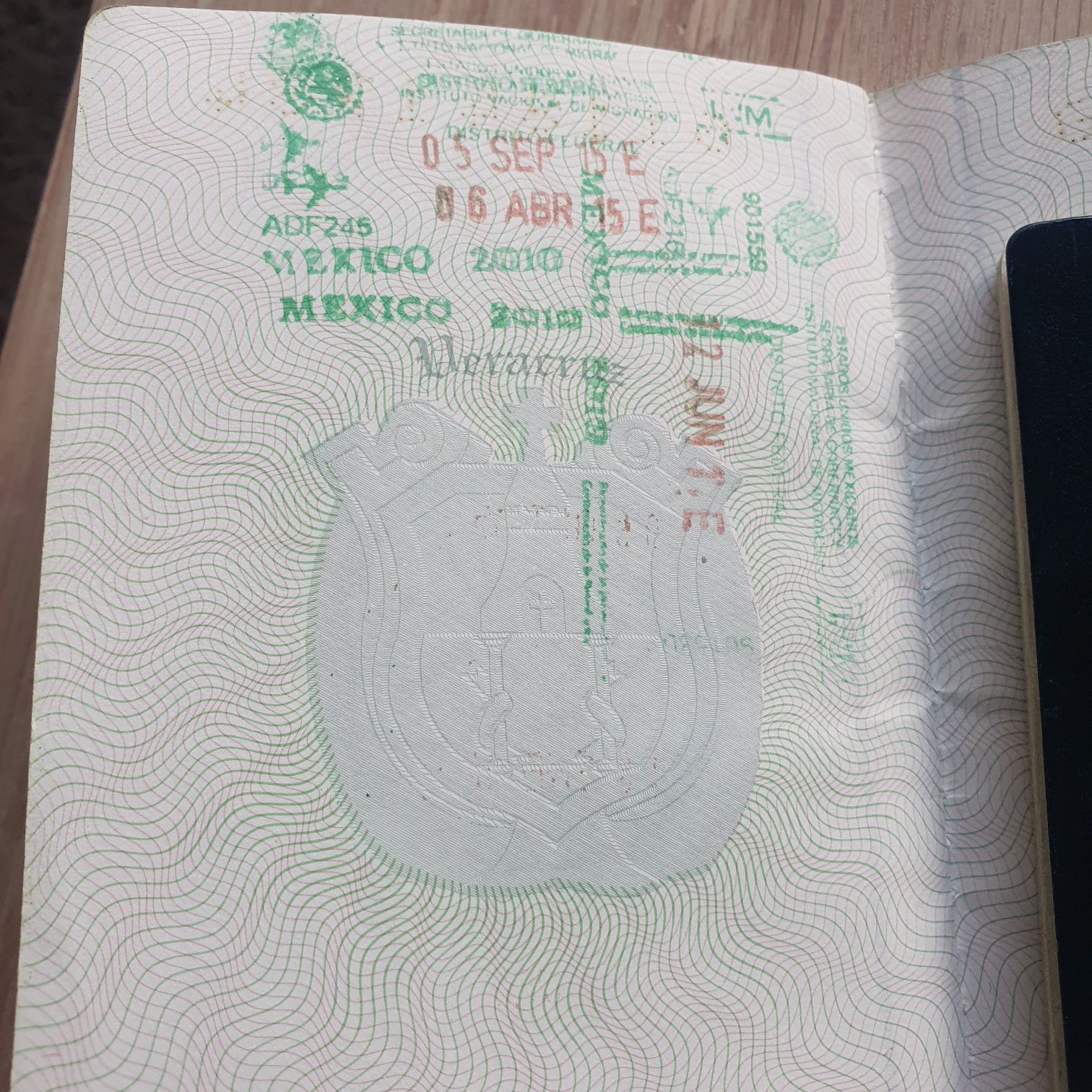 Bear With Red Dress And Purple Hat