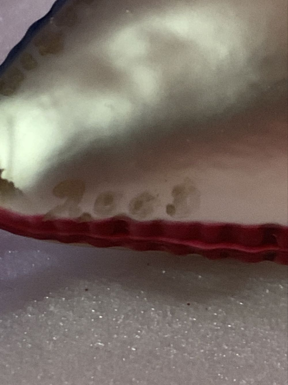 Kite  ornament collectible - Main Image 3