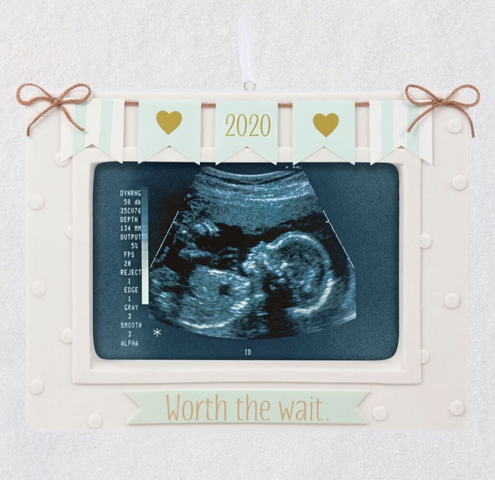 Worth The Wait 2020 - Worth The Wait (Grandson) ornament collectible [Barcode 763795535071] - Main Image 2