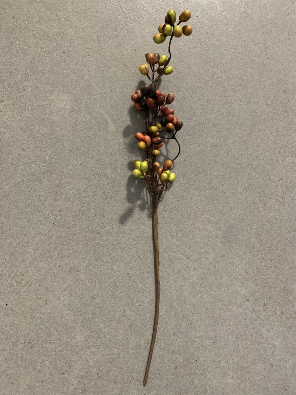 Casco Autografiado Dez Bryant