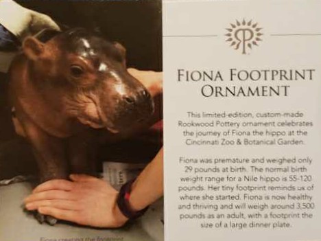 Fiona - Footprint - Cincinnati Zoo & Botanical Garden (Animals) ornament collectible - Main Image 3