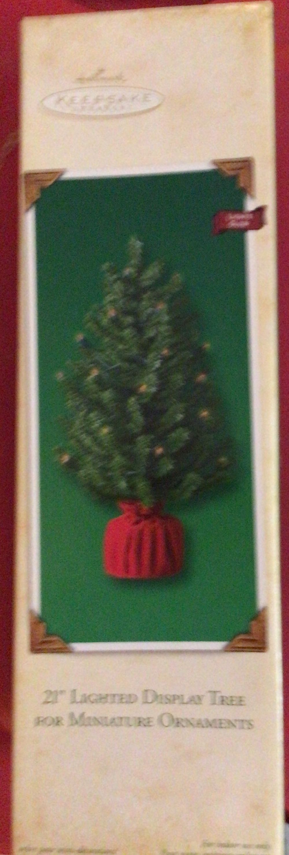 Bear Wrapped With Lights