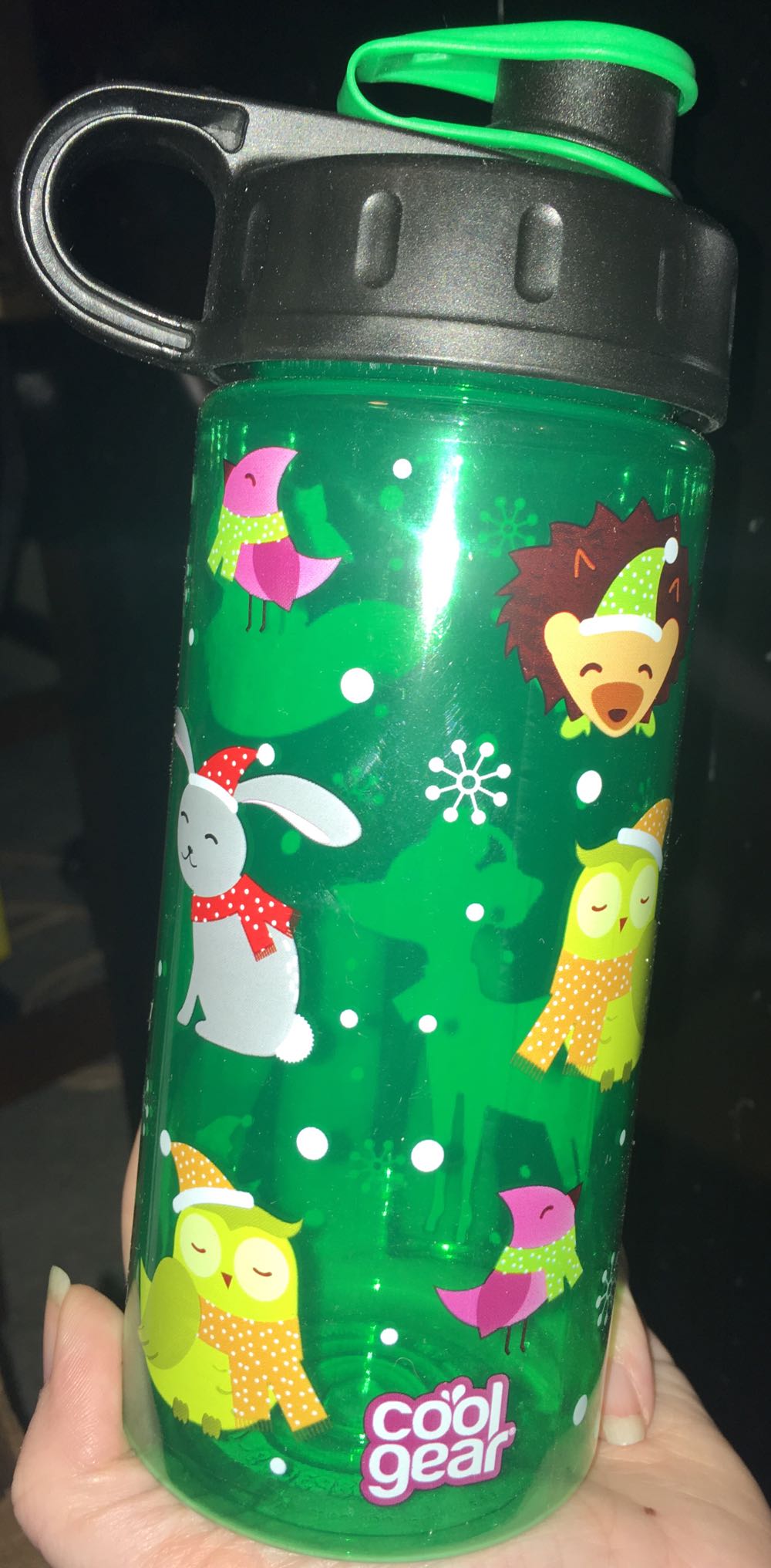 CC’19 Slide Into Fun