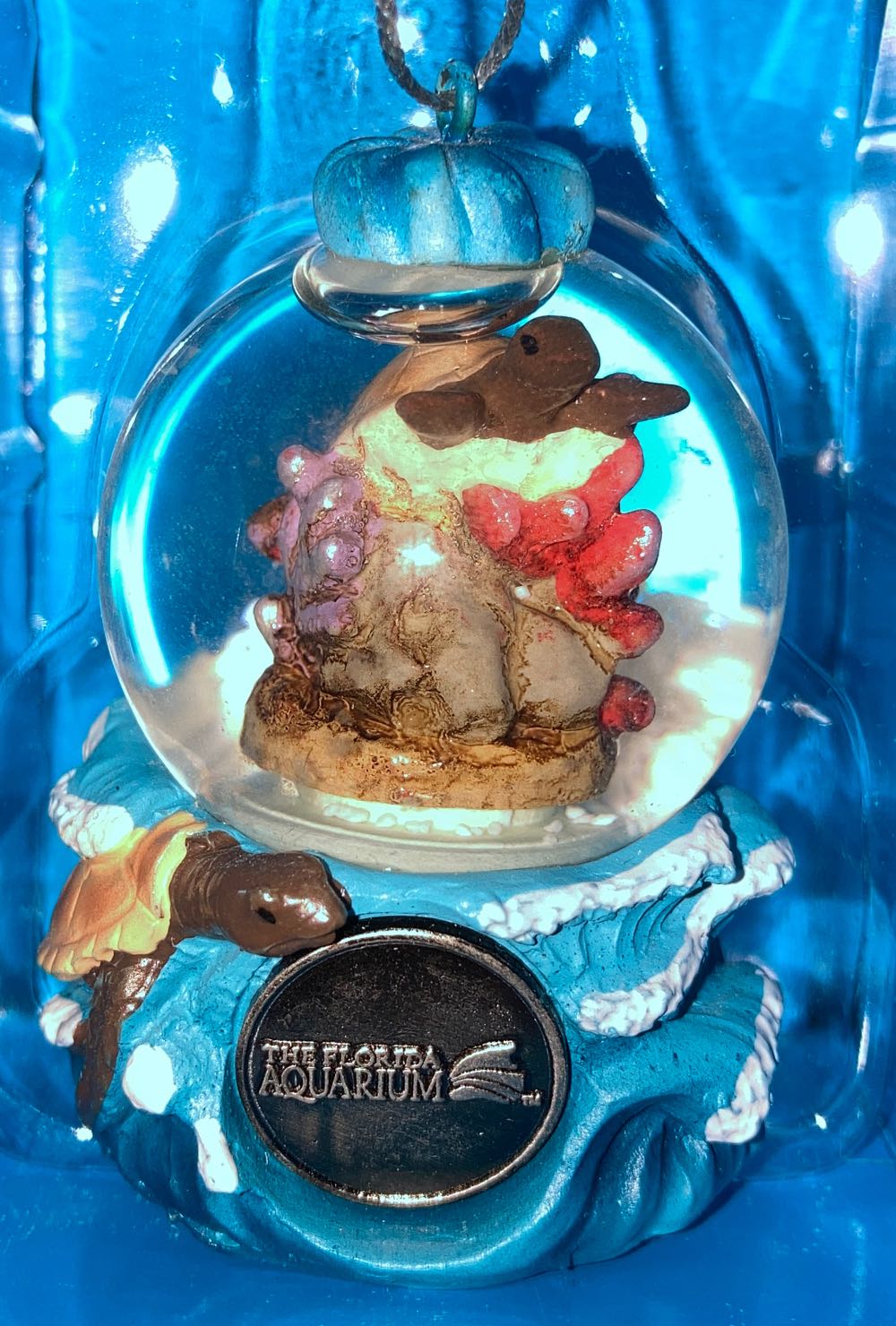 Sea Turtle Snow globe Ornament - Lil Man (Christmas) ornament collectible [Barcode 400003914579] - Main Image 2