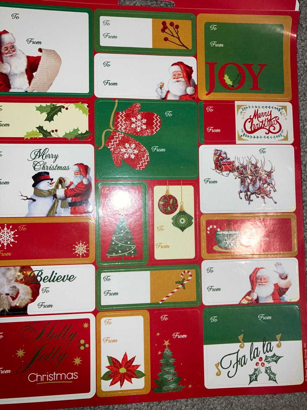 Paphiopedilum Pinocchio