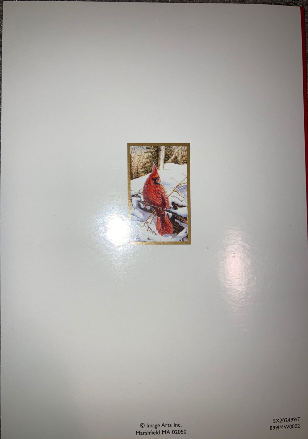 Cardinal (Shiny) Card  (Cards) ornament collectible - Main Image 4