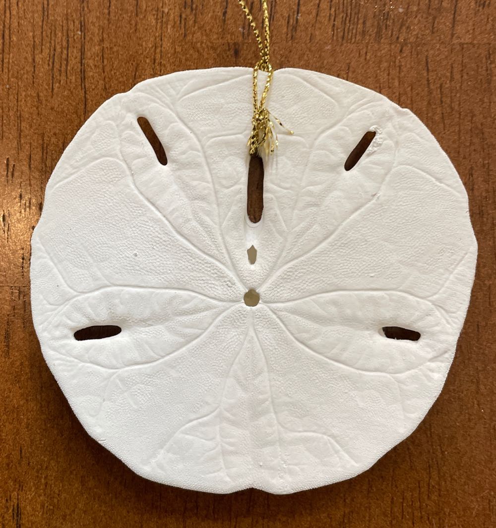 Key West Sand Dollar - Travel Ornaments ornament collectible - Main Image 2