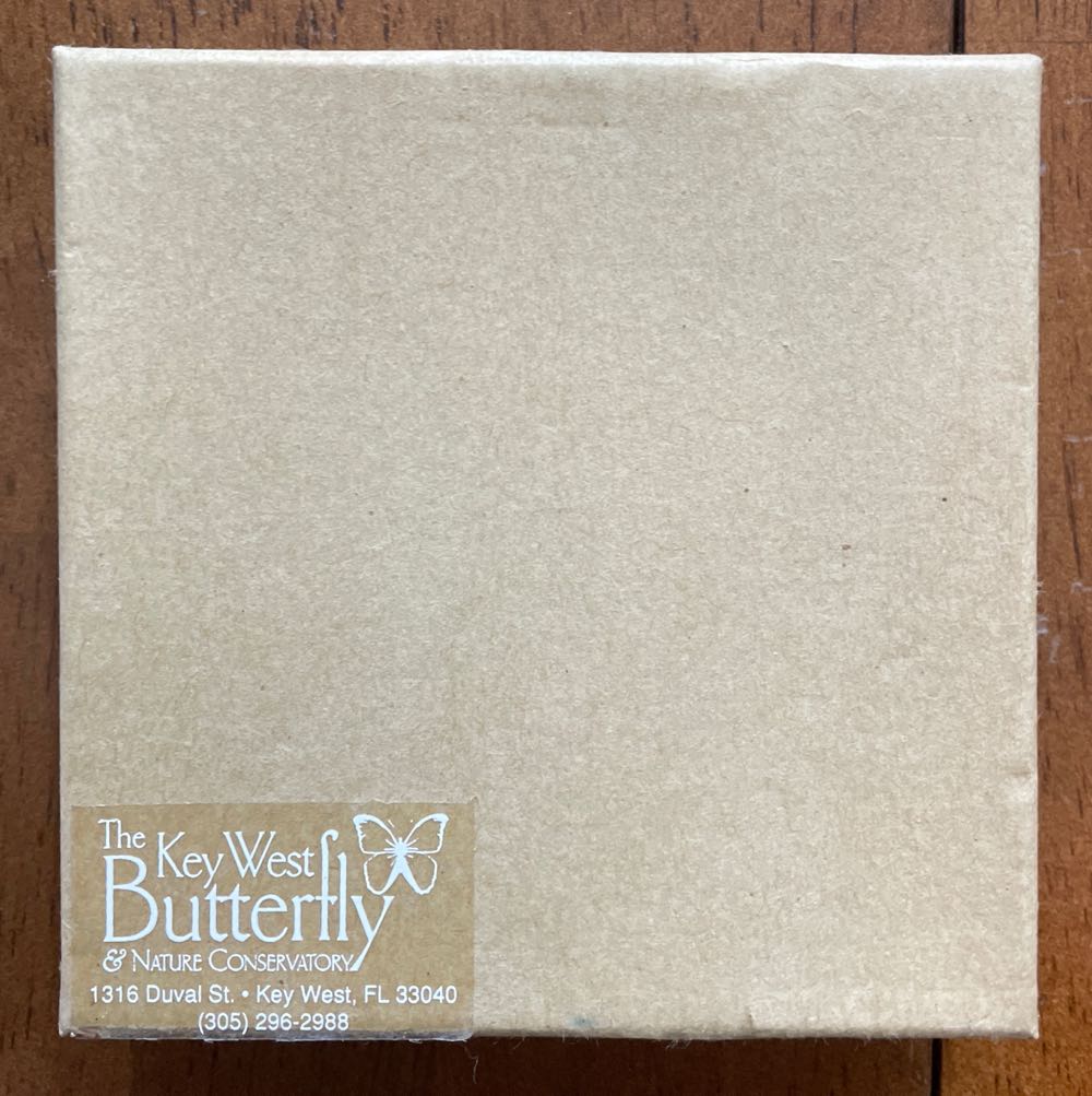 Key West Sand Dollar - Travel Ornaments ornament collectible - Main Image 3