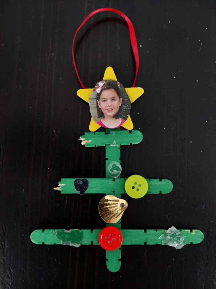 Phalaenopsis Maculata X Lindenii