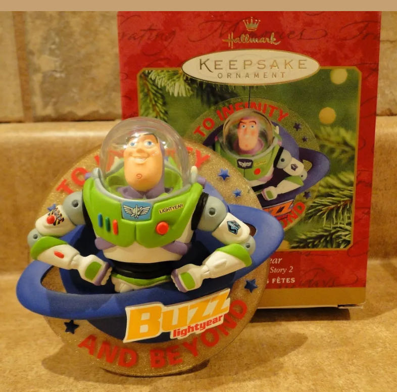 Phalaenopsis speciosa blue grey