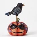 2019 Star Trek ISS - U.S.S. Enterprise SDCC
$359.00