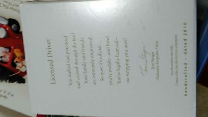 Licensed Driver  (Driver) ornament collectible [Barcode 795902140762] - Main Image 2