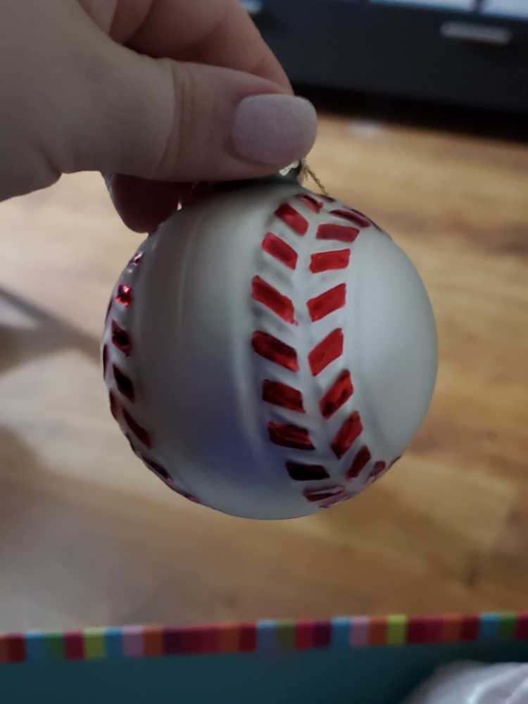 Moose glass Sweden from cruise