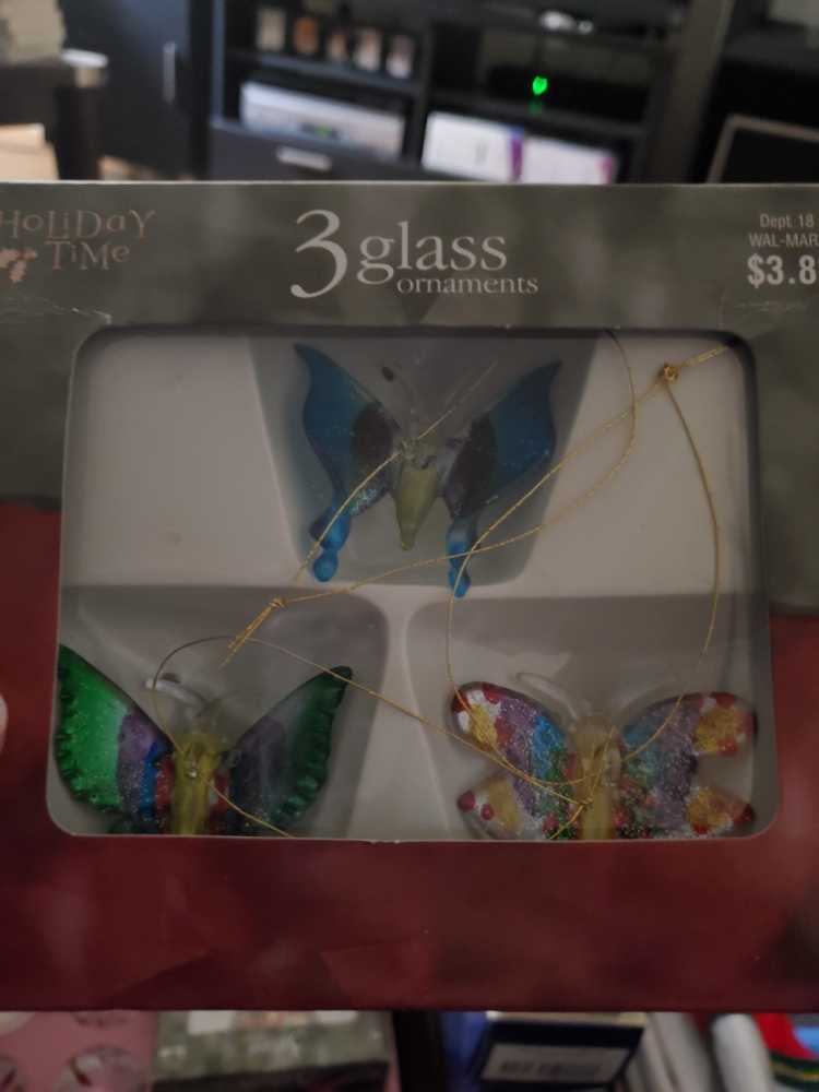 Phalaenopsis javanica