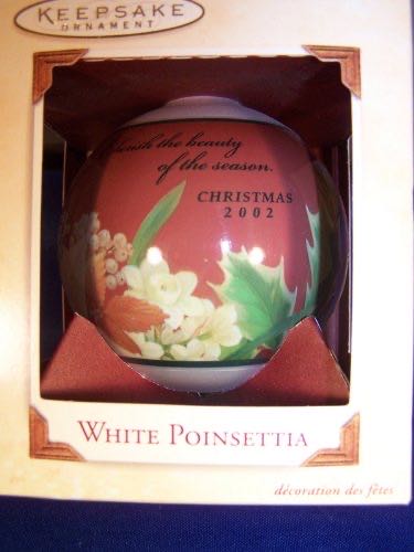 Little Mermaid Treasure