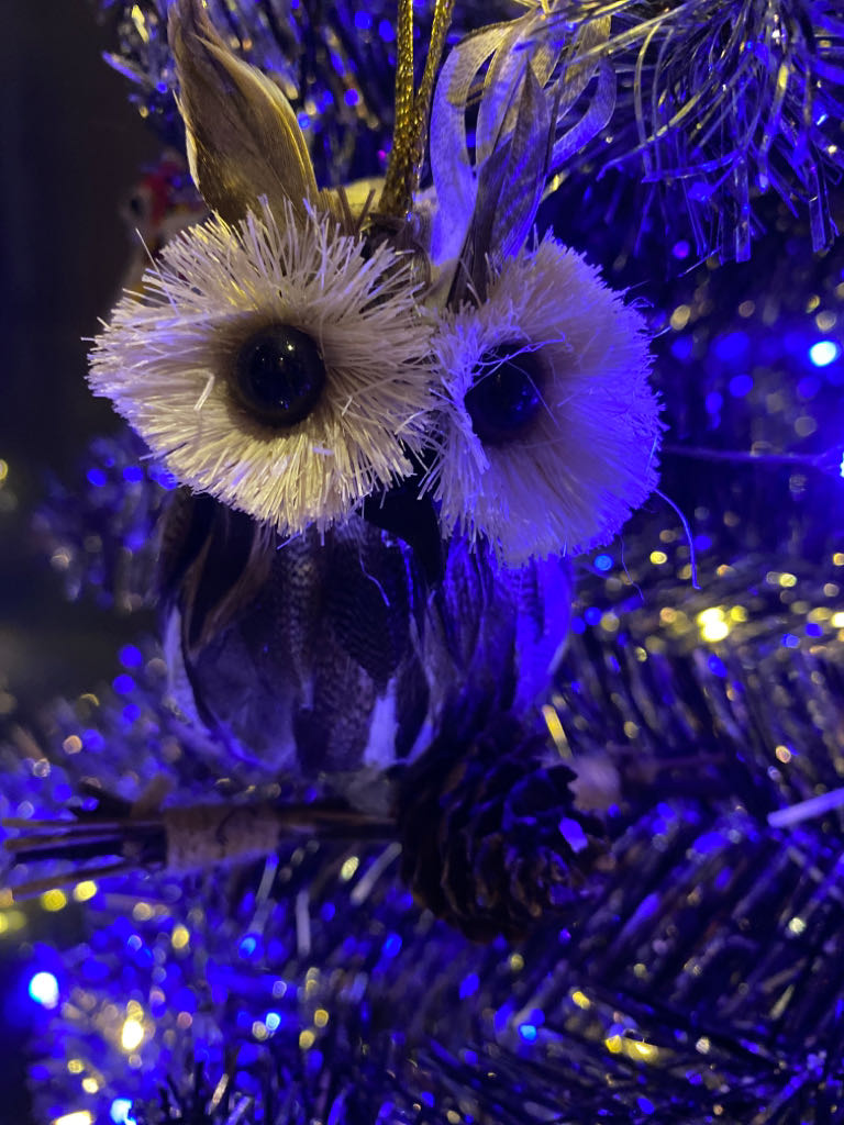 World Of Color Ariel