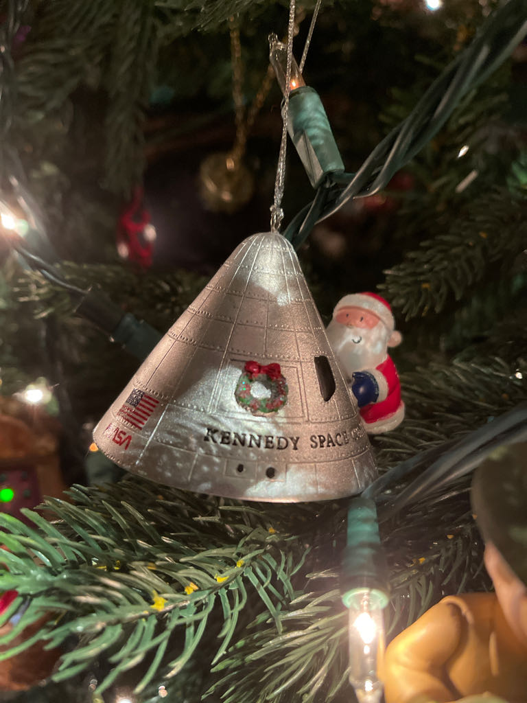 Aquarium Santa Turtle