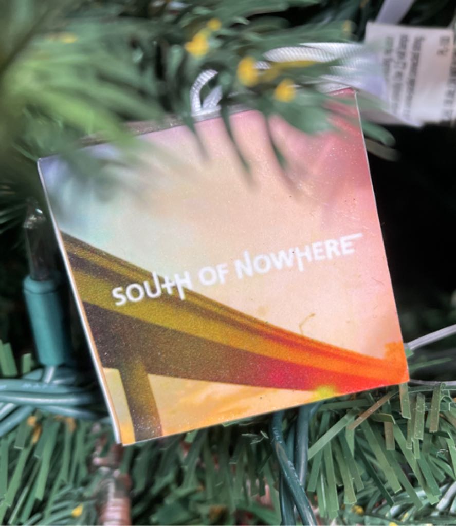 Phalaenopsis gibbosa