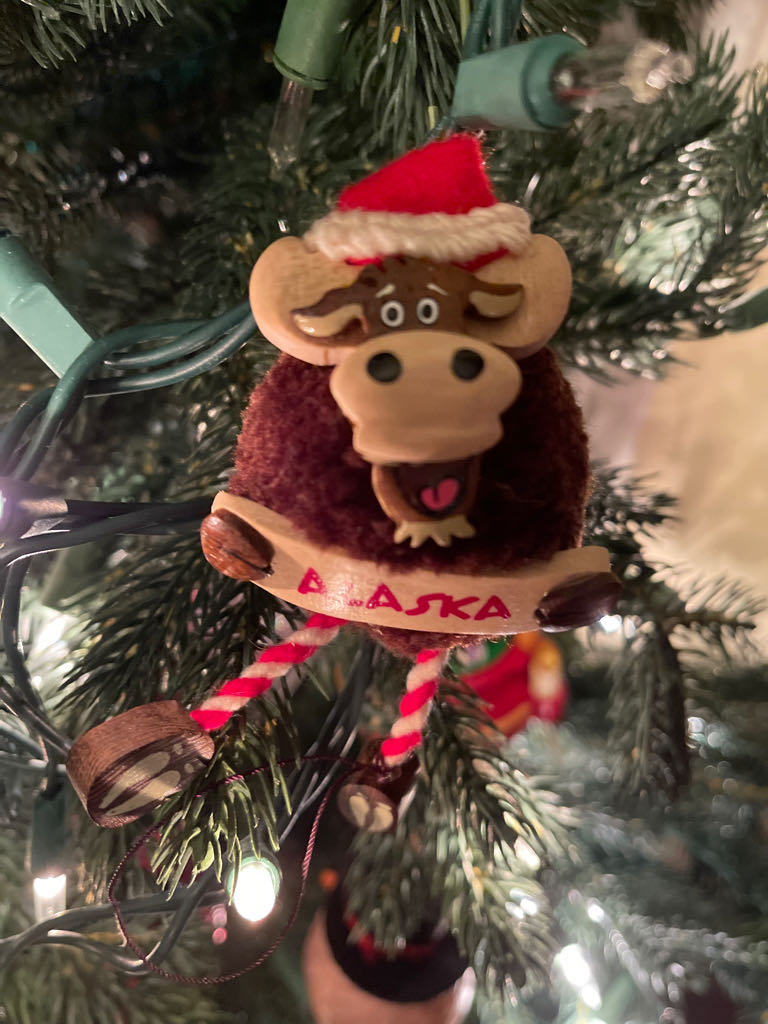 Angel Daisy with Mistletoe