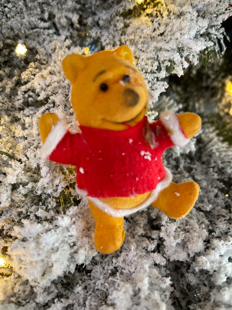 Hand Painted Goose Egg