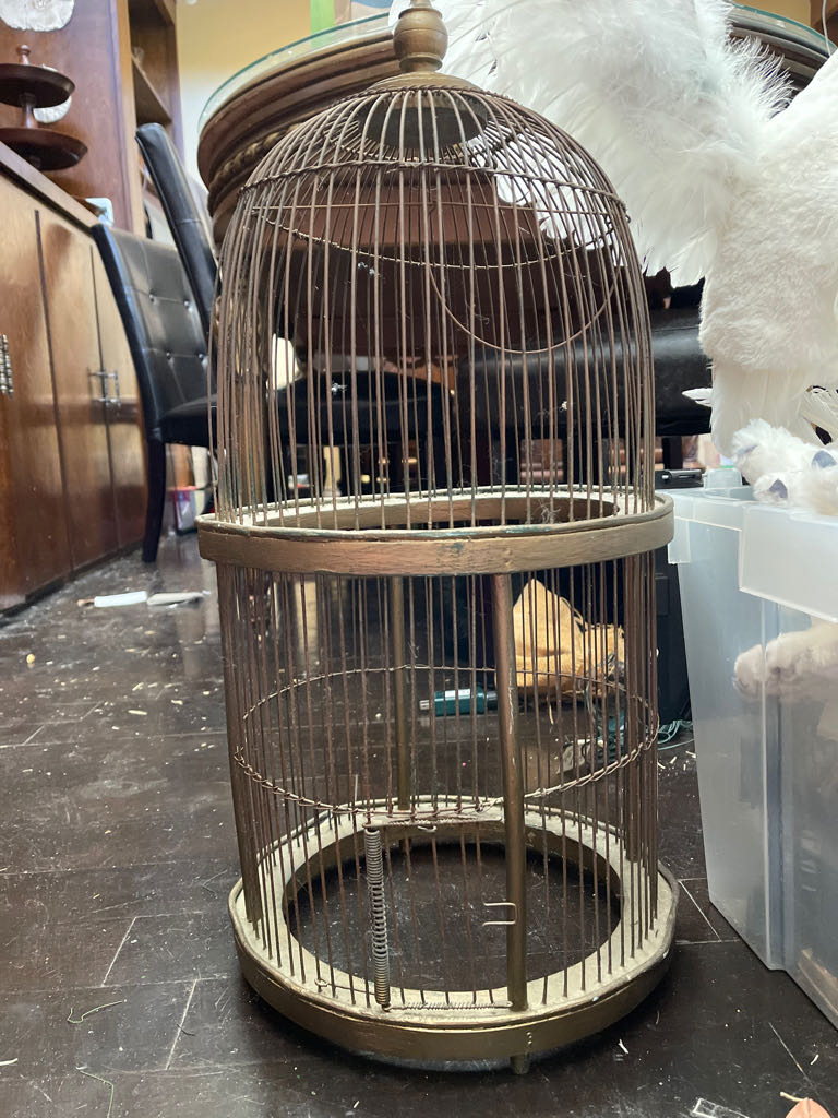 CANDY CANE Merman #55-55101