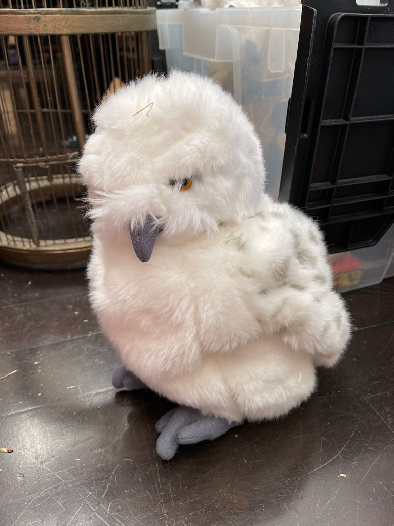 Disney Parks Jungle Cruise Set Elephant Tiger Skipper World Famous Ride