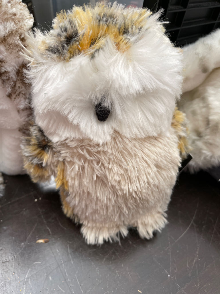 Arlington Falls Church