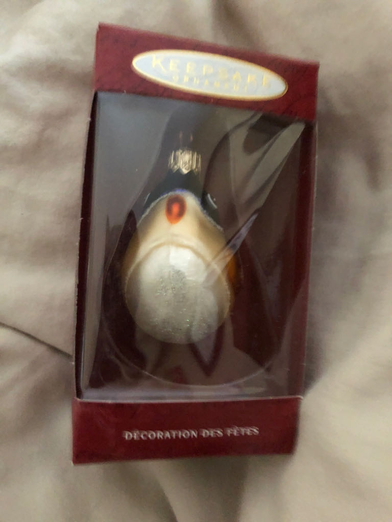 Baby’s First Birthday