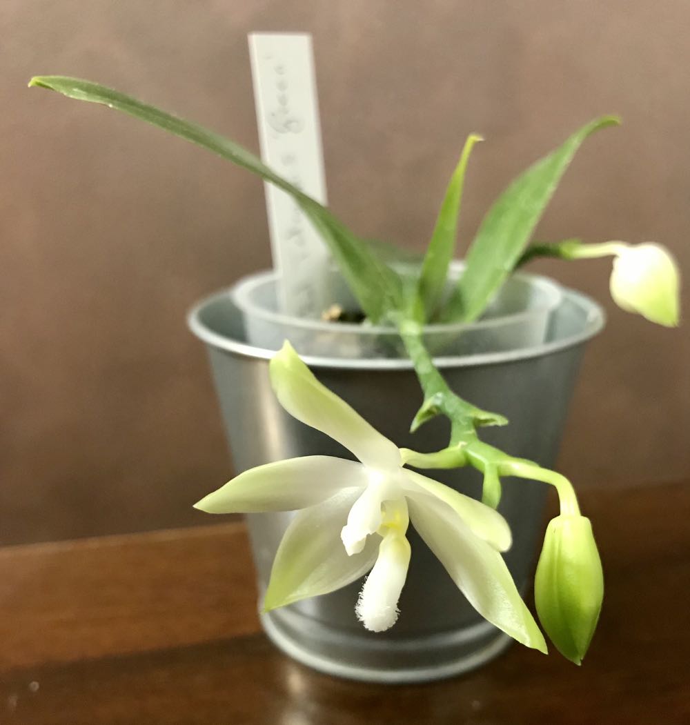 Image 33320