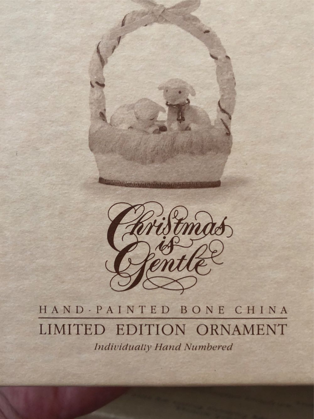 Phalaenopsis Tetraspis Var Coffee