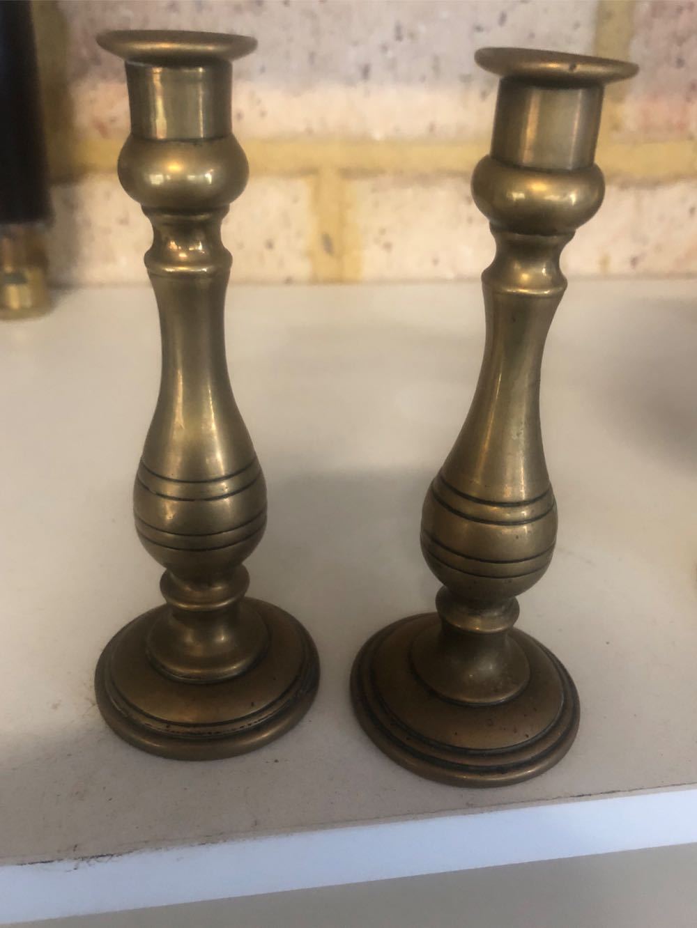 Phalaenopsis Pulcherrima Var Marmorata 4N