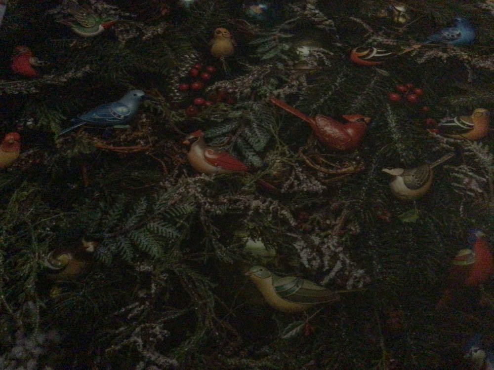 2021 - Ben (Storytellers)