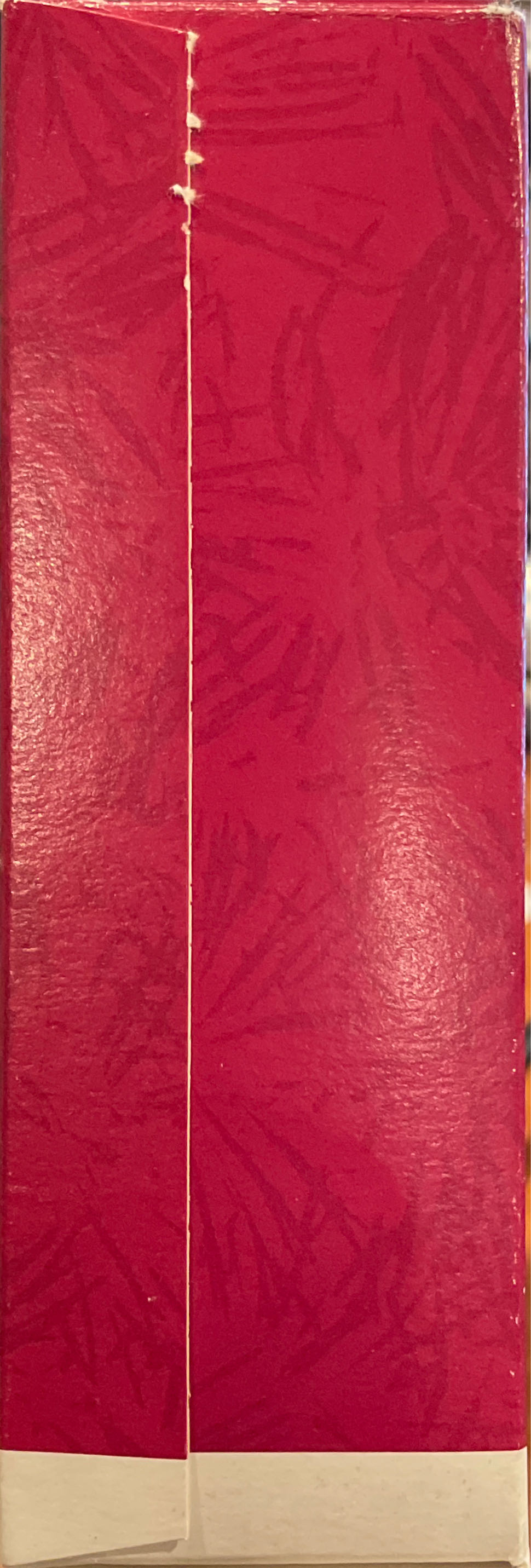 Ski Hound - Keepsake Ornament (Dogs) ornament collectible [Barcode 015012262414] - Main Image 4