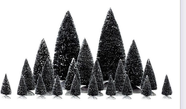 #24 | All Decked Out