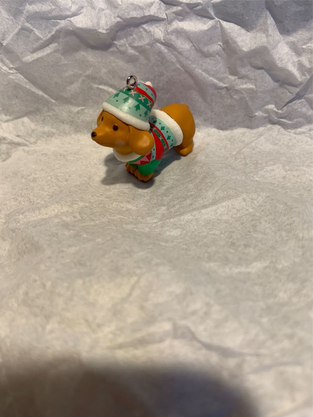 Dressed Up Dachshund - Miniature (Dogs) ornament collectible [Barcode 763795675654] - Main Image 4