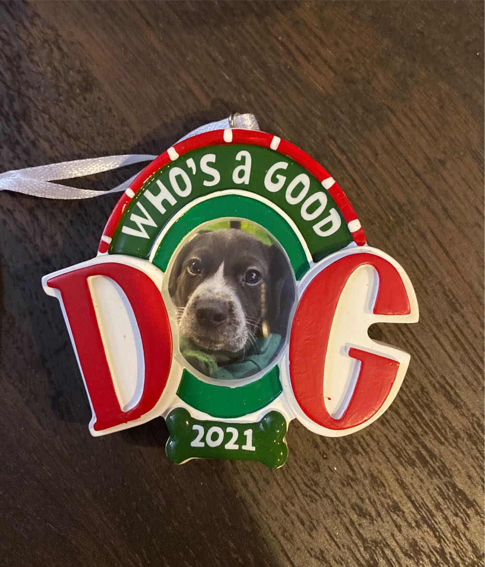 Who’s A Good Dog - Pets (Pets) ornament collectible [Barcode 763795722877] - Main Image 2
