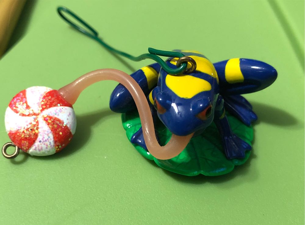 West Virginia Big East Champions