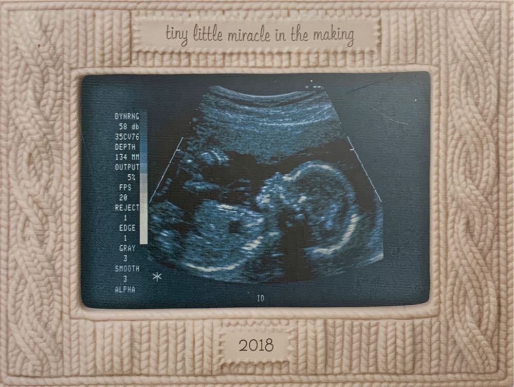 Pussy Willow Cottage