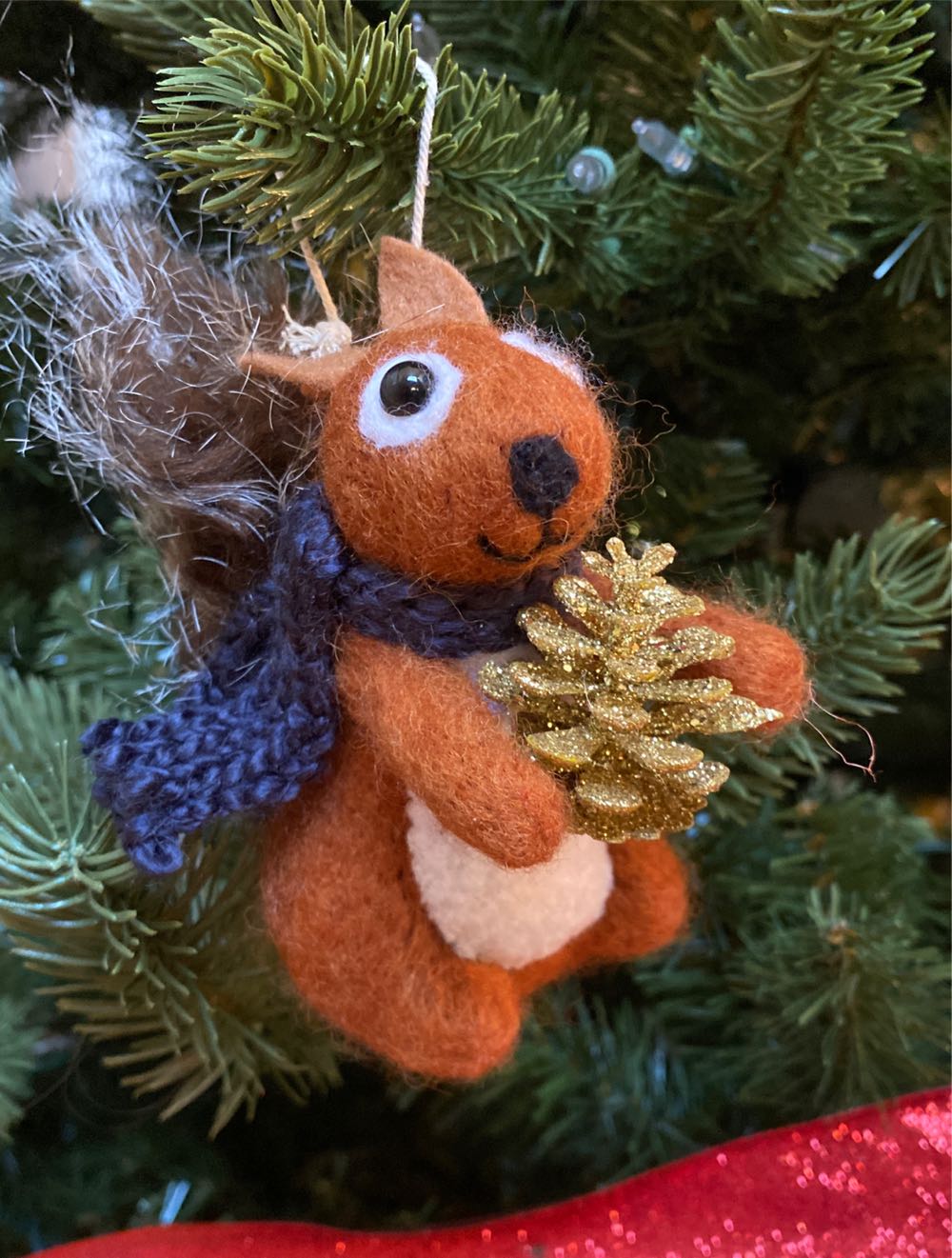 Pansies Stand For Thoughts