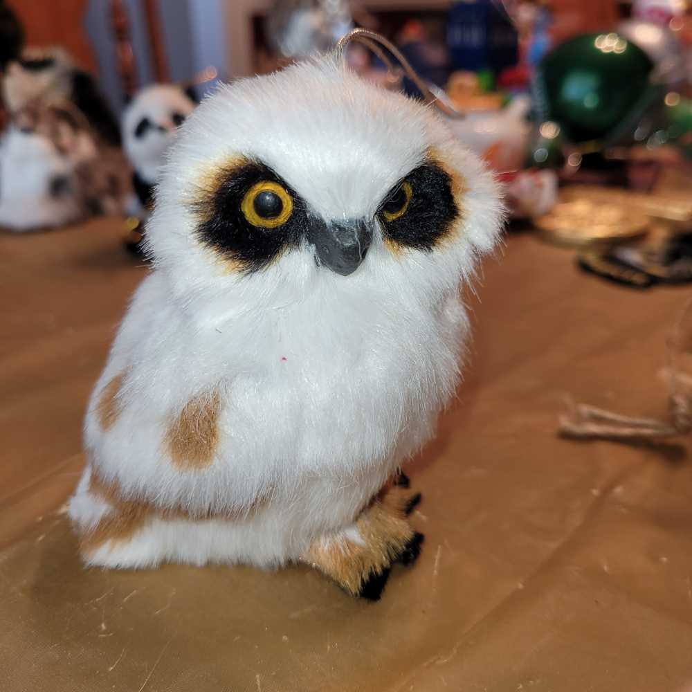 Angel Heavenly Music