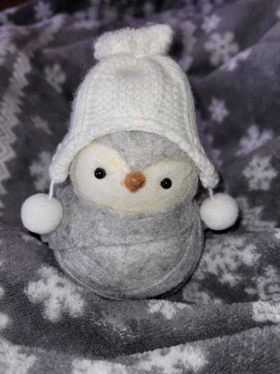 Aurora Disneyland DIAMOND anniversary Shoe