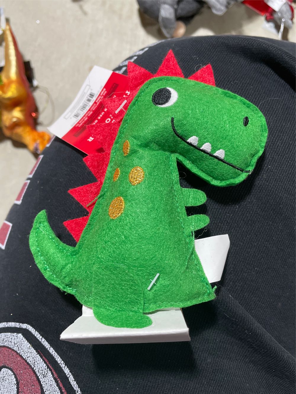 Country Express Train