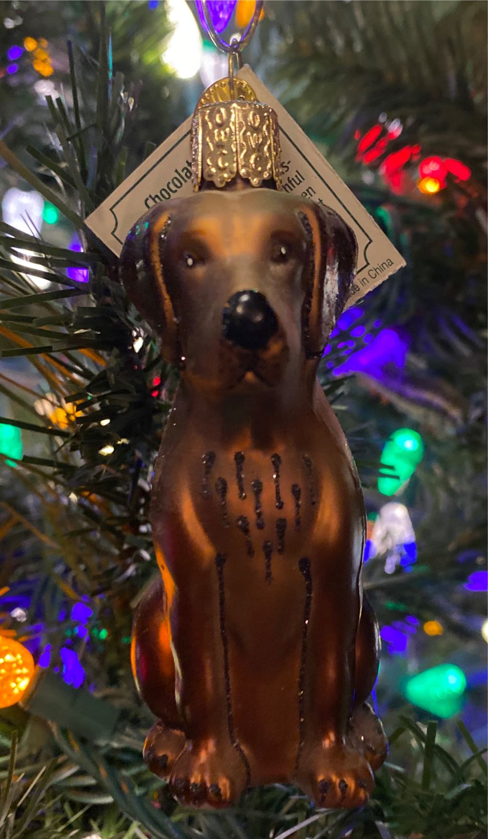 Miracle In The Making