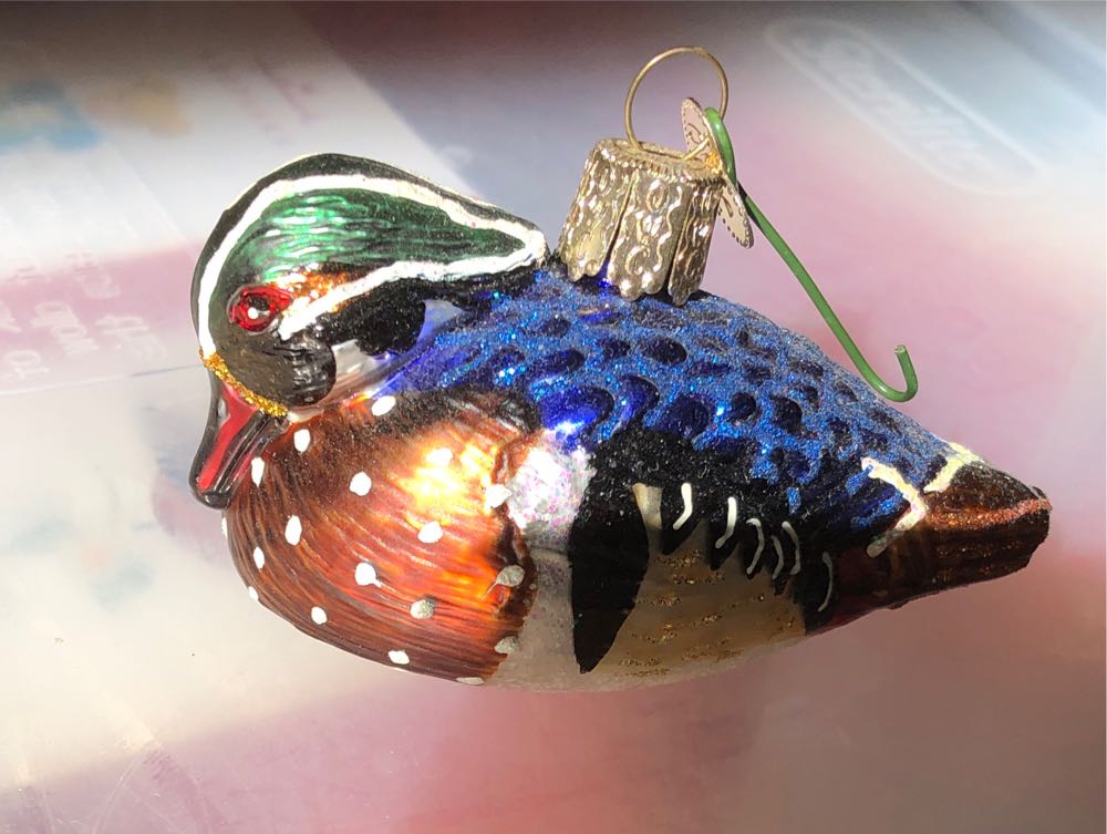 Harry Potter Chooses A Wand