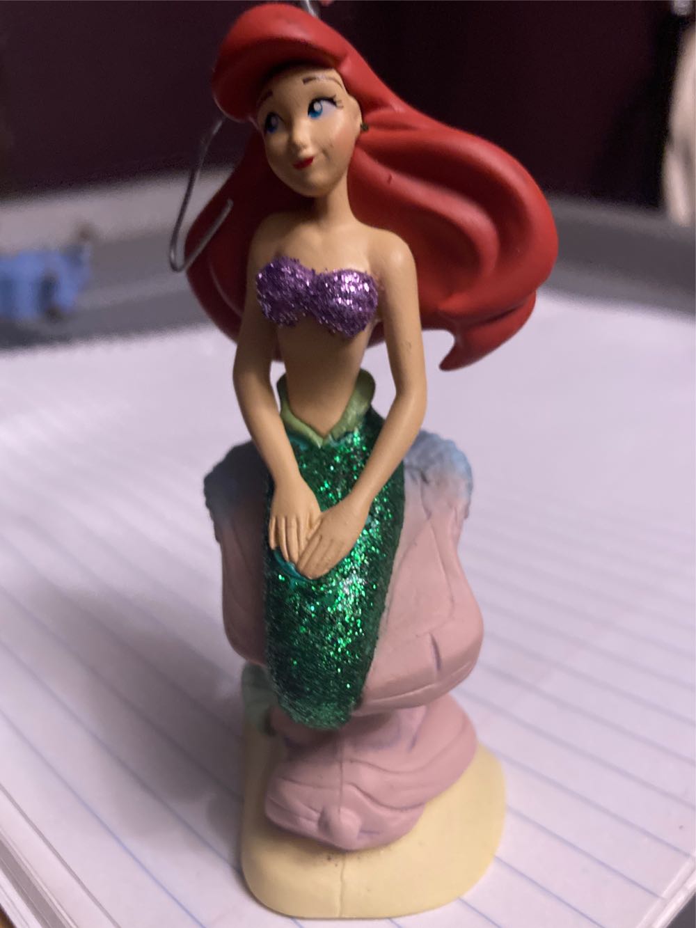 Raccoon with Flippers