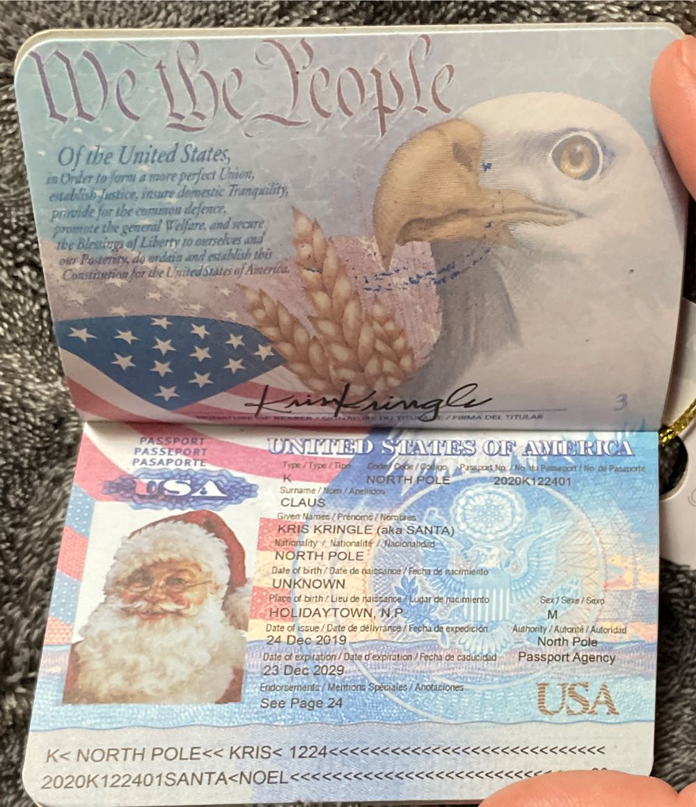 Passport Christmas Tree Ornament - Travel Ornaments ornament collectible [Barcode 191908263250] - Main Image 2