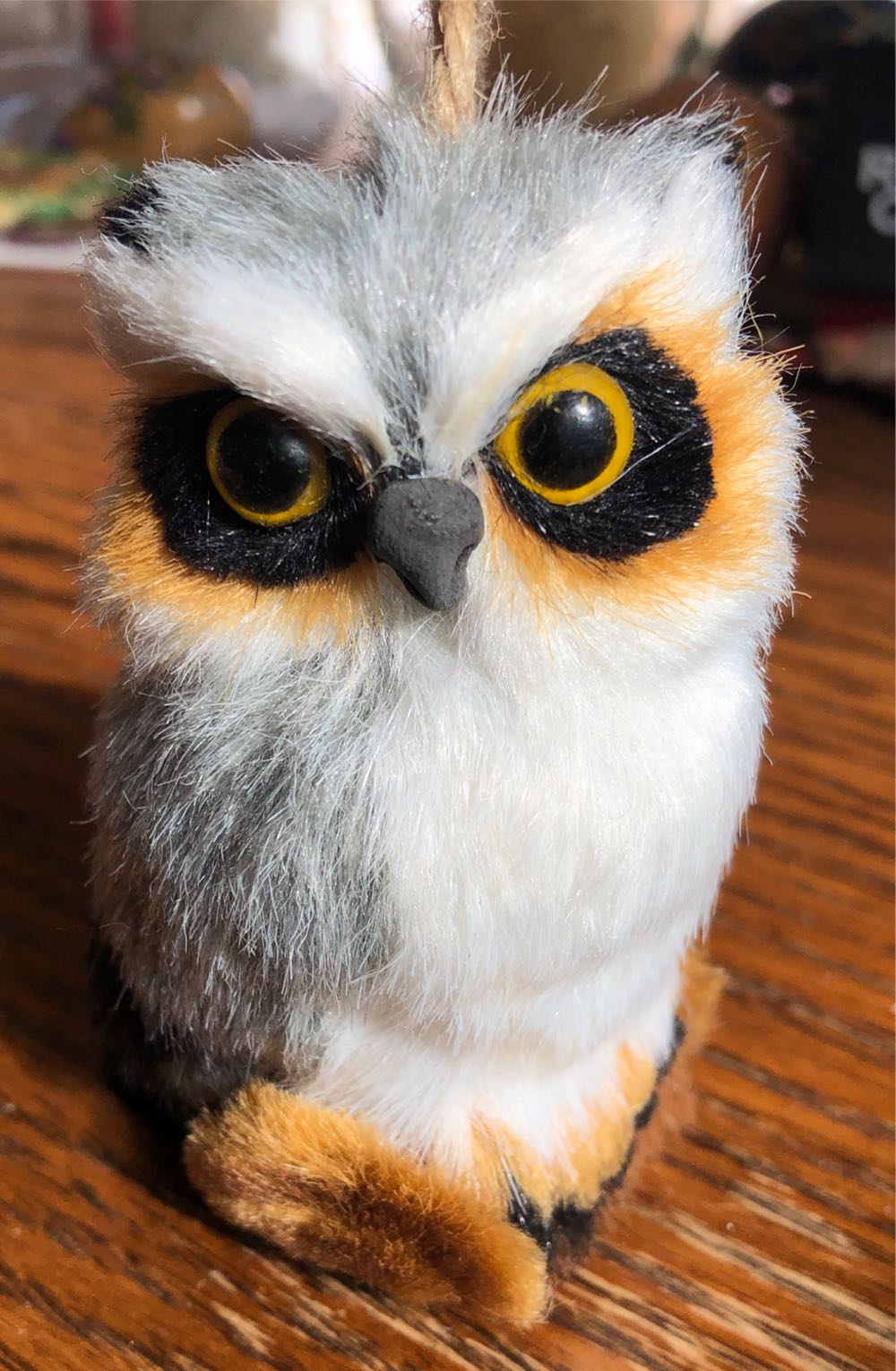 Image 43049