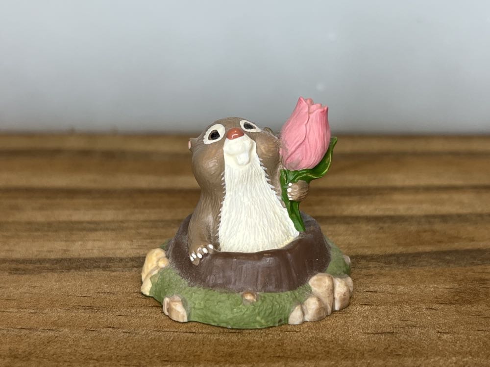 Image 43308